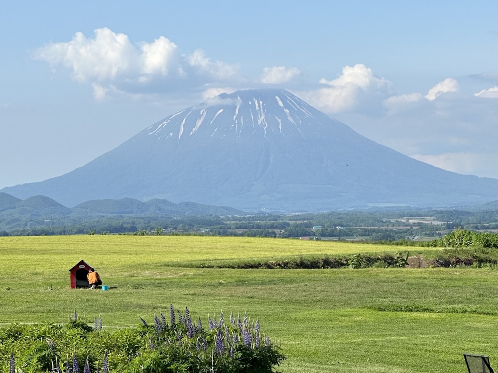 Travel: Hokkaido 北海道